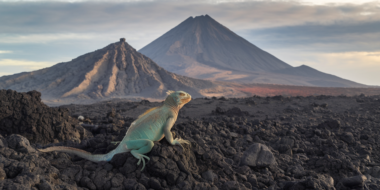 Galapagos Islands
