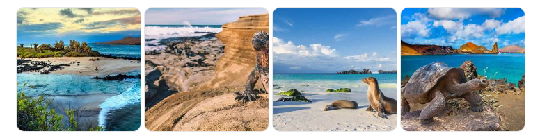 galapagos 7 day tour