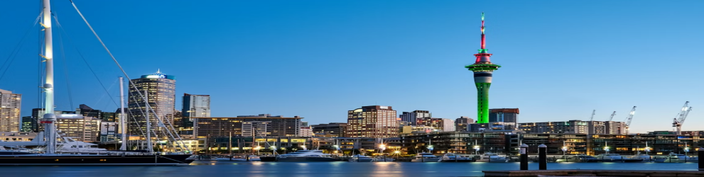 auckland local tour guide