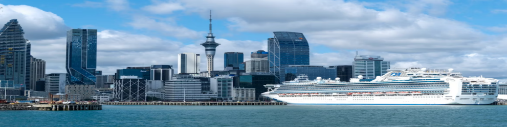 auckand shore excursion private guide