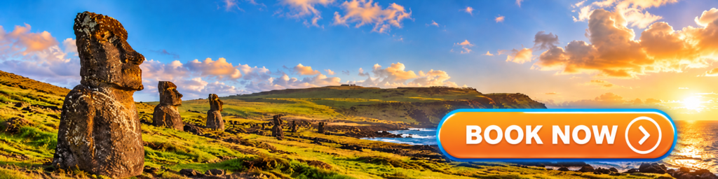 book your private shore excursions now